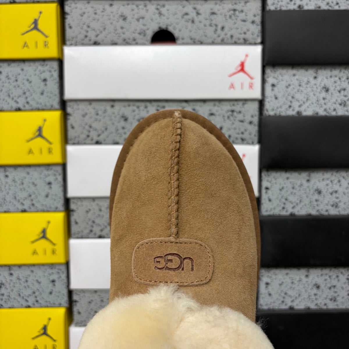 UGG Tasman Slipper – Chestnut (Style 4810-3) | Sizes 35–40