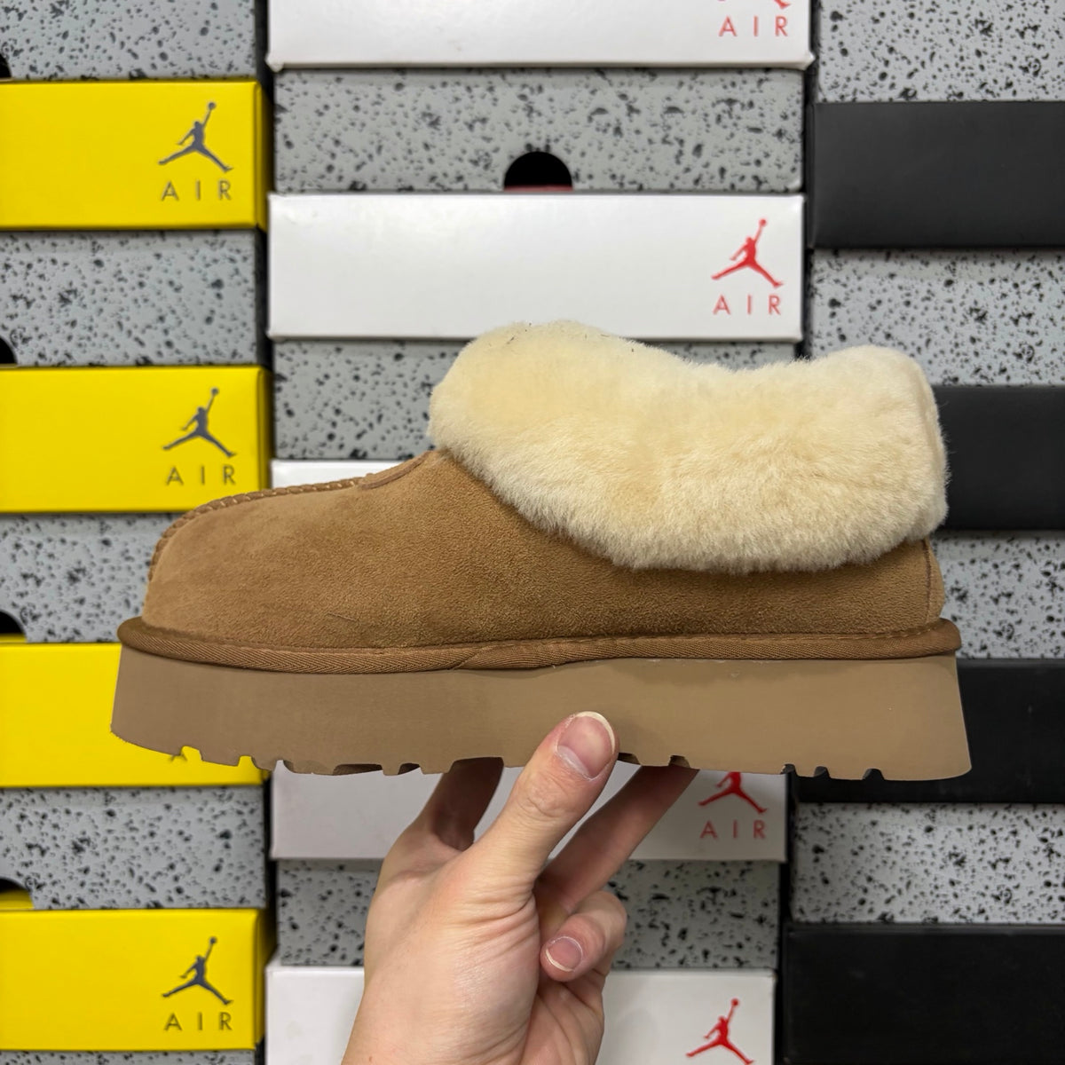 UGG Tasman Slipper – Chestnut (Style 4810-3) | Sizes 35–40